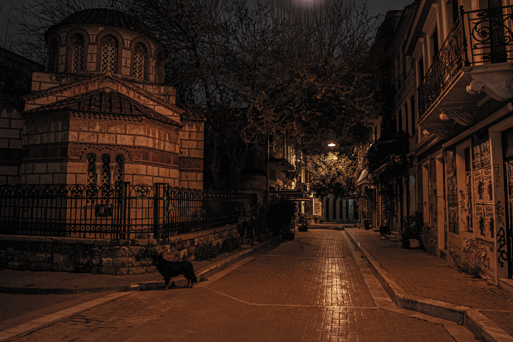 ImageThe silence is deafening